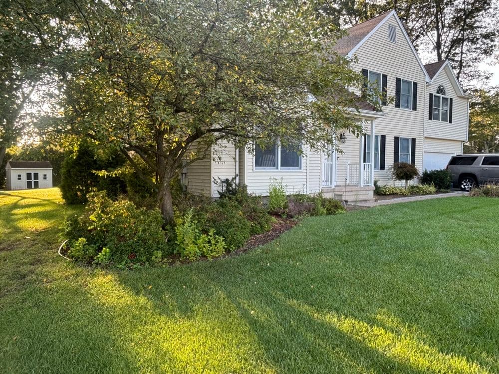Overgrown and out of control front beds.